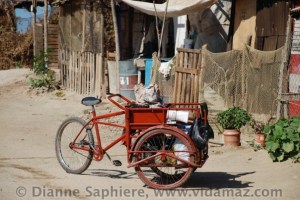 Homes and a mobile business