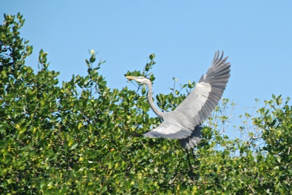 1.DSC_0476 - Version 2