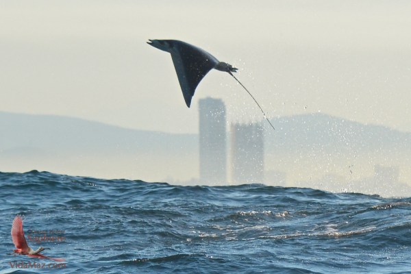 1.DSC_0246 - Version 3