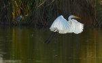 DSC_0269 – Version&nbsp;2