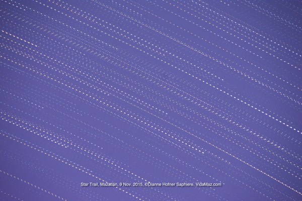 Star Trail Nov 9 2015©