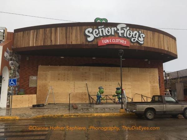 44684554_1072375002939669_2649307210252812288_n