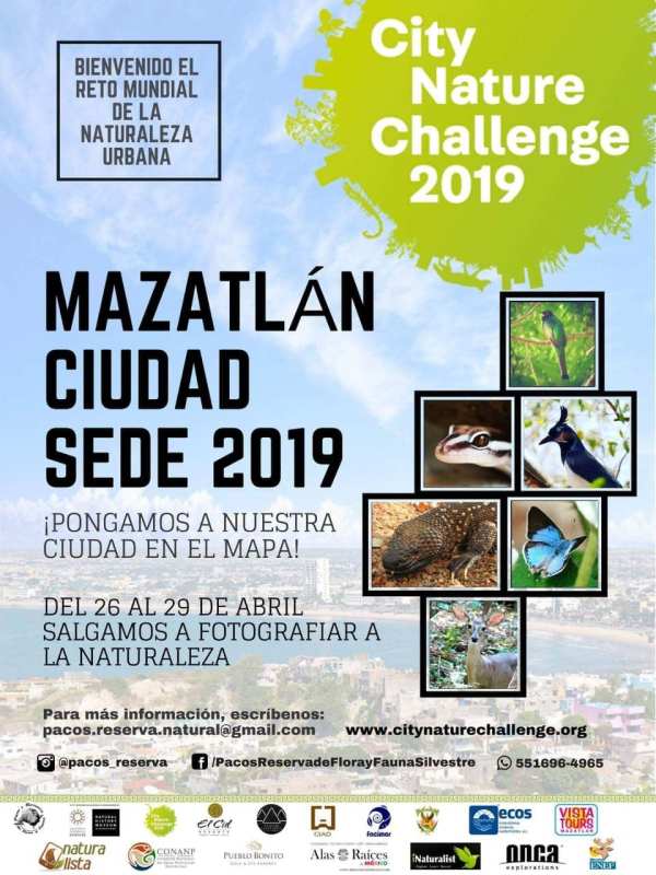 43676323_731335040547404_6810896483013885952_o