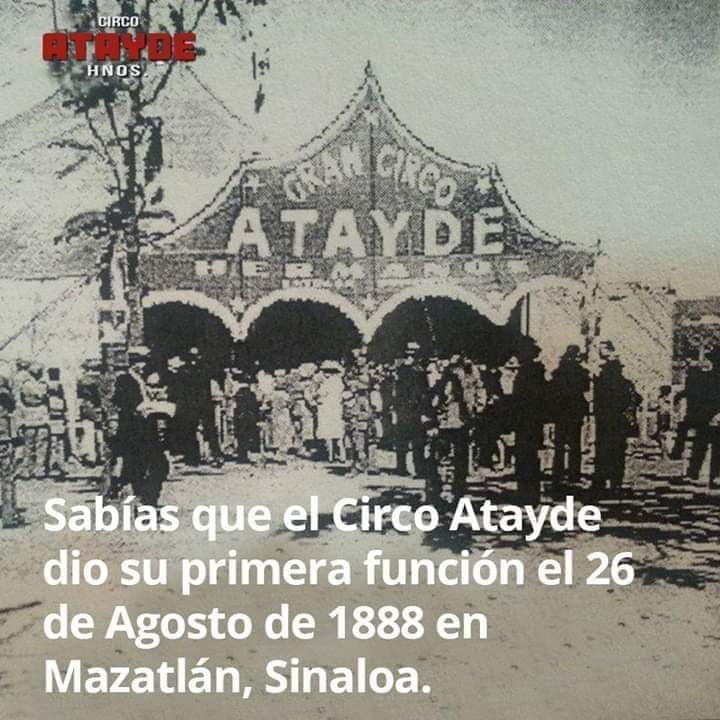 51092681_2532829363400329_1356177434570915840_n